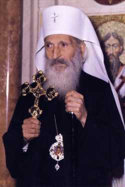 Павел (Стойчевич), патриарх Сербский