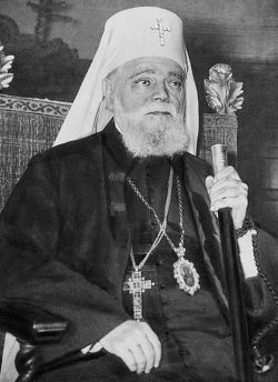 Викентий (Проданов), патриарх Сербский