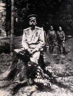 Страстотерпец царь Николай II, под арестом.