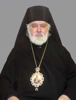 Епископ Аркадий (Афонин)