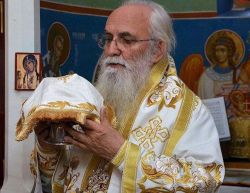 Милутин (Кнежевич), епископ Валевский