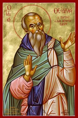 Преподобный Феодул Кипрский, Христа ради юродивый